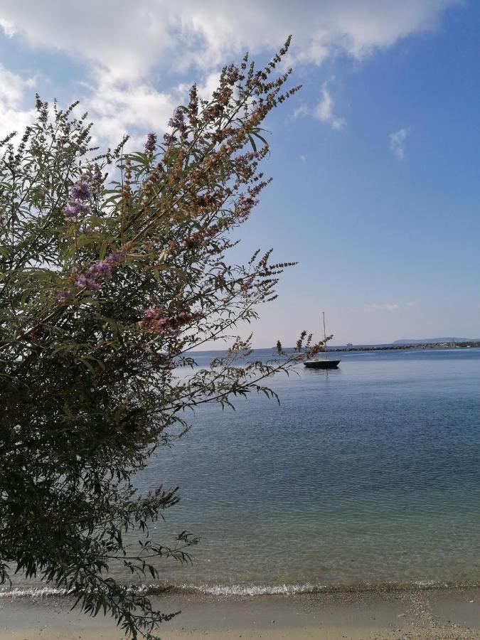 Villa Evmenia Panoramic View & Sea Front Apartments Skopelos Exterior foto
